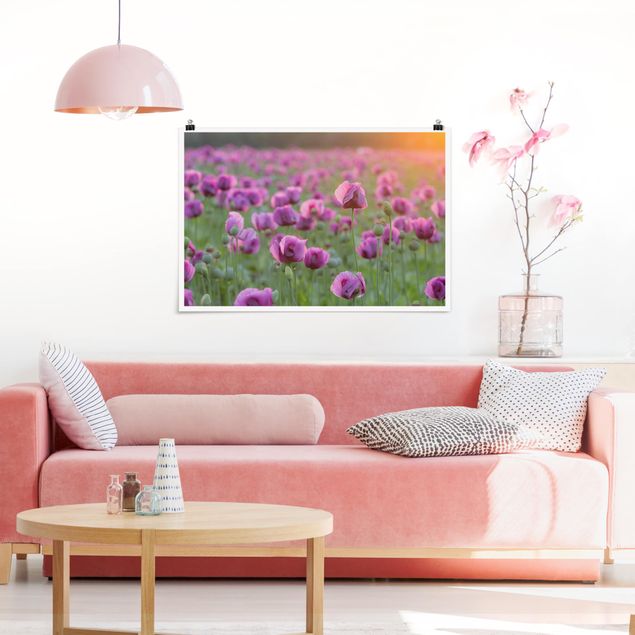 Poster - Purple Poppy Flower Meadow In Spring