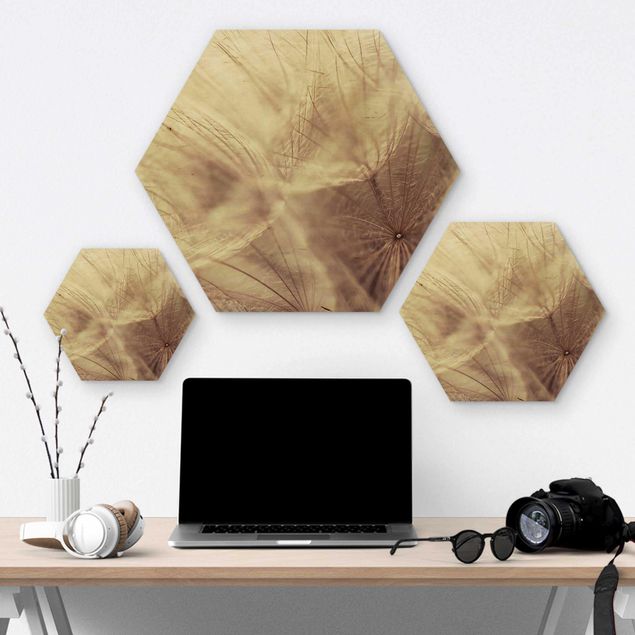 Wooden hexagon - Detailed Dandelion Macro Shot With Vintage Blur Effect