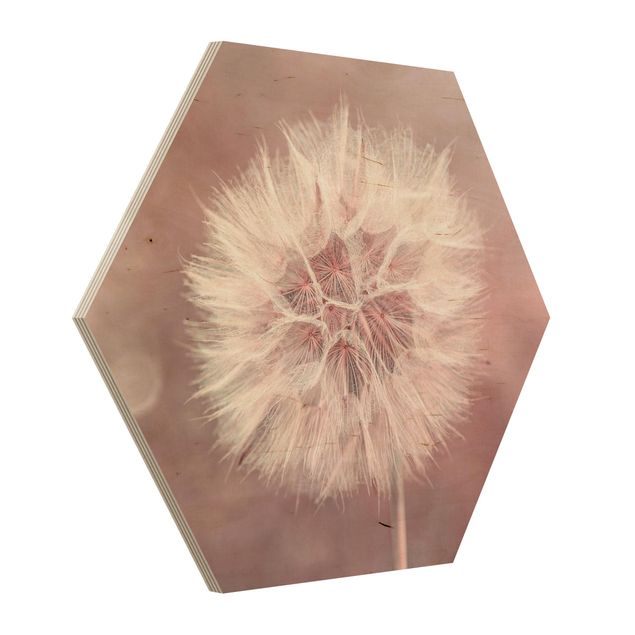 Hexagon Picture Wood - Dandelion Pink Bokeh