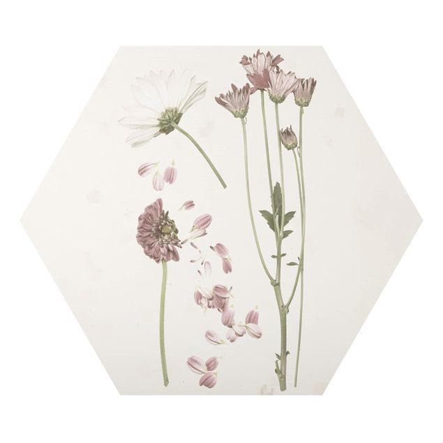 Alu-Dibond hexagon - Herbarium In Pink II