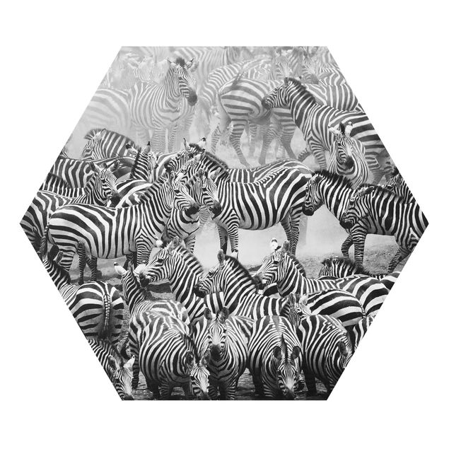 Forex hexagon - Zebra herd II