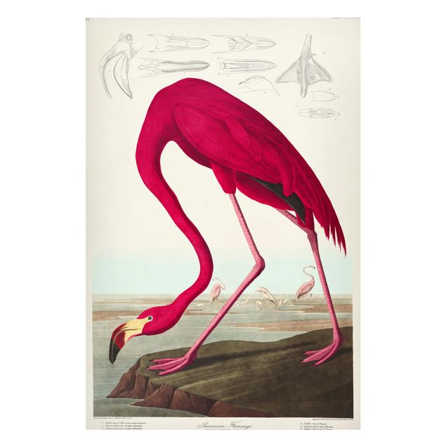 Magnetic memo board - Vintage Board American Flamingo