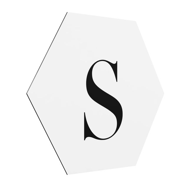 Alu-Dibond hexagon - Letter Serif White S