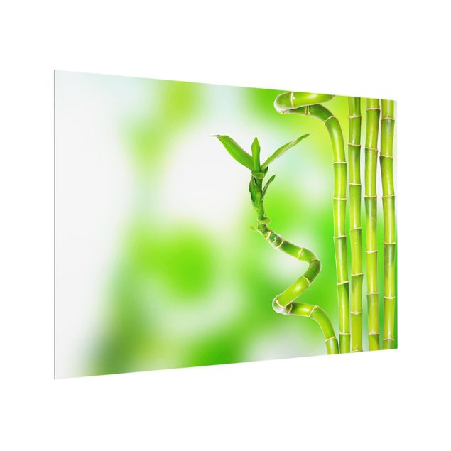 Glass Splashback - green bamboo - Landscape 3:4