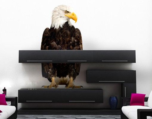 Animal wall decals No.379 Eye of the Eagle