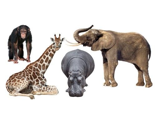 African wall stickers No.406 African Safari Set