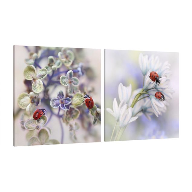 Print on canvas 2 parts - Ladybug On Flowers