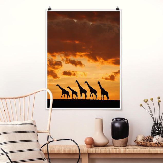 Poster animals - Five Giraffes