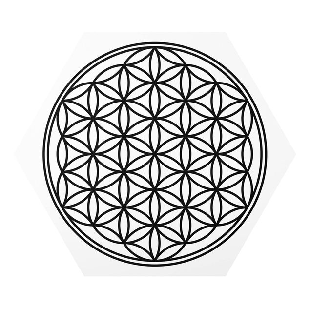Forex hexagon - Flower of Life