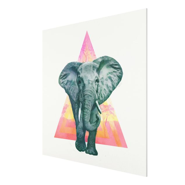 Print on forex - Illustration Elephant Front Triangle Painting