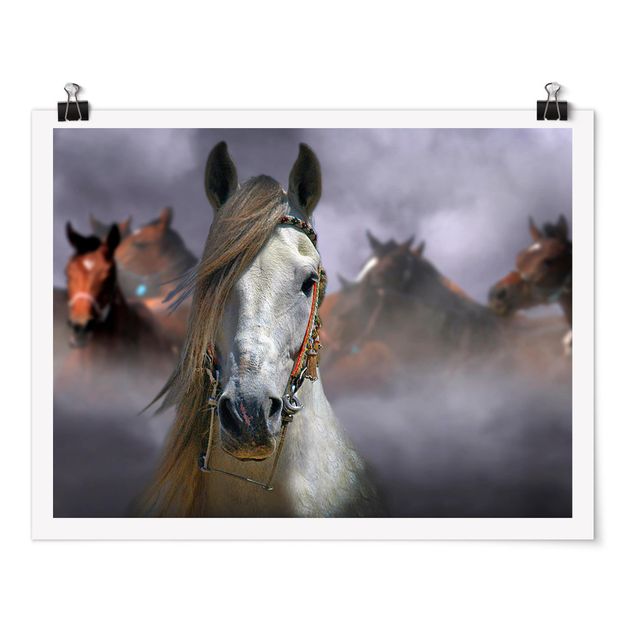 Poster - Horses in the Dust