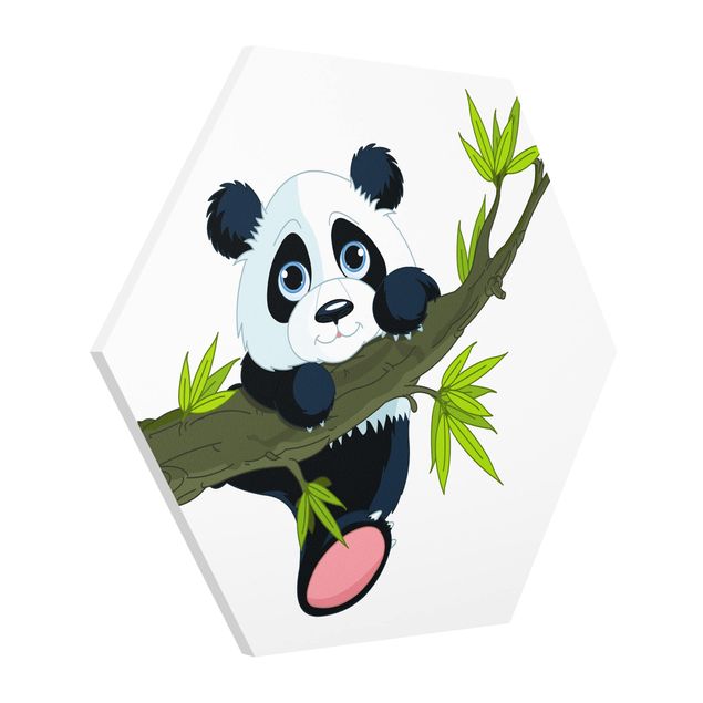 Forex hexagon - Climbing Panda