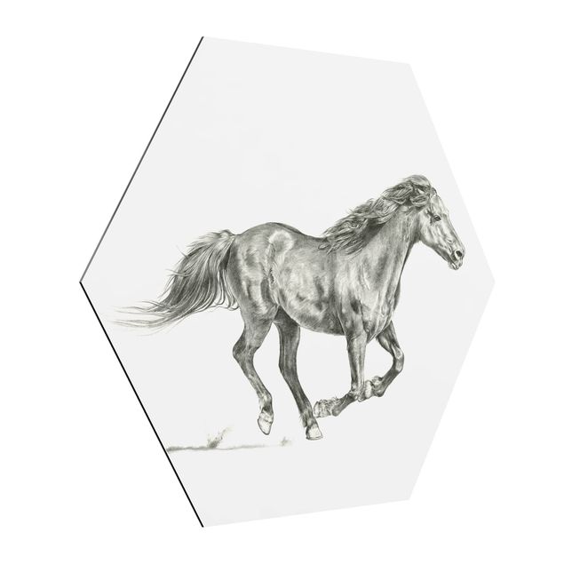 Alu-Dibond hexagon - Wild Horse Trial - Mare