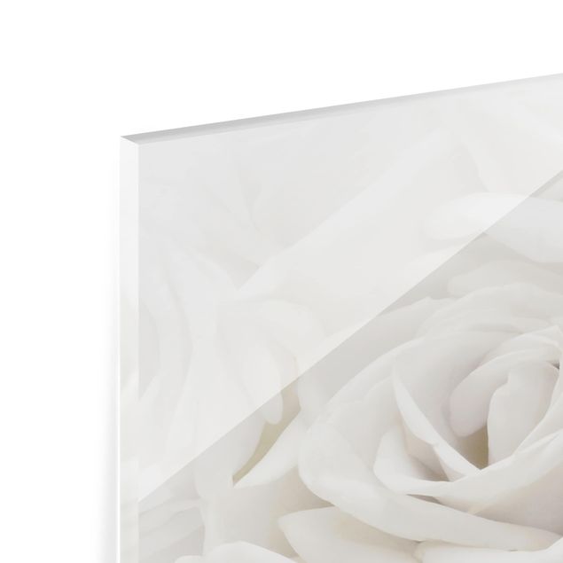Splashback - White Roses