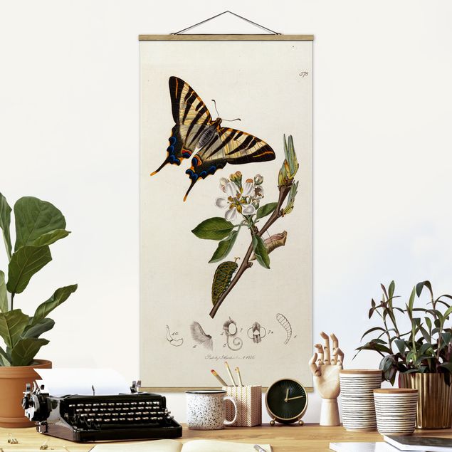 Fabric print with poster hangers - John Curtis - A Scarce Swallow-Tail Butterfly