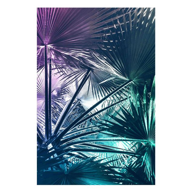 Magnetic memo board - Tropical Plants Palm Leaf In Turquoise IIl