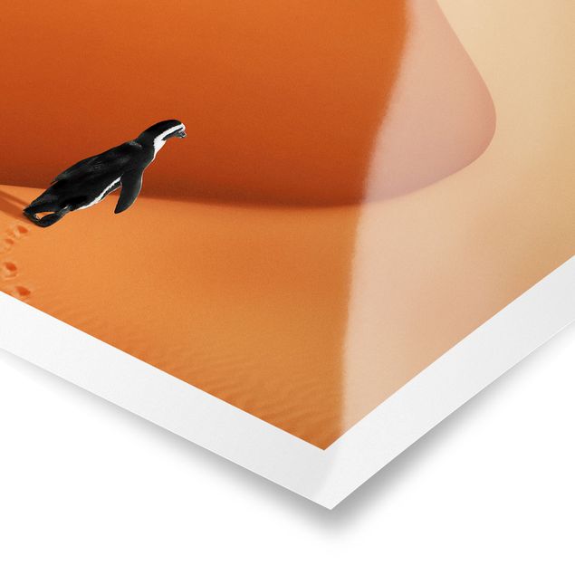Poster - Desert With Penguin