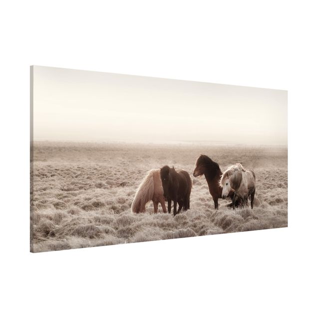 Magnetic memo board - Wild Icelandic Horse