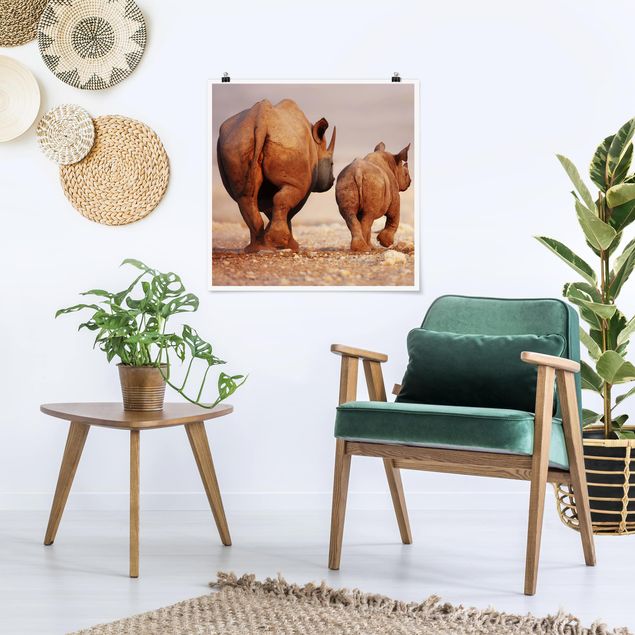 Poster - Wandering Rhinos