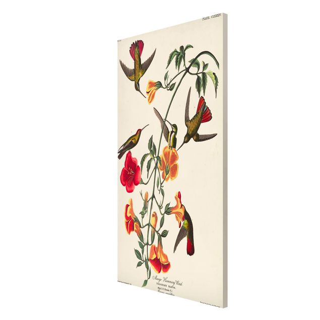 Magnetic memo board - Vintage Board Mango Hummingbirds
