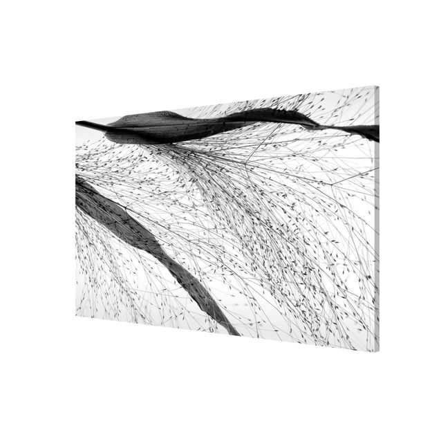 Magnetic memo board - Delicate Reed With Subtle Buds Black And White