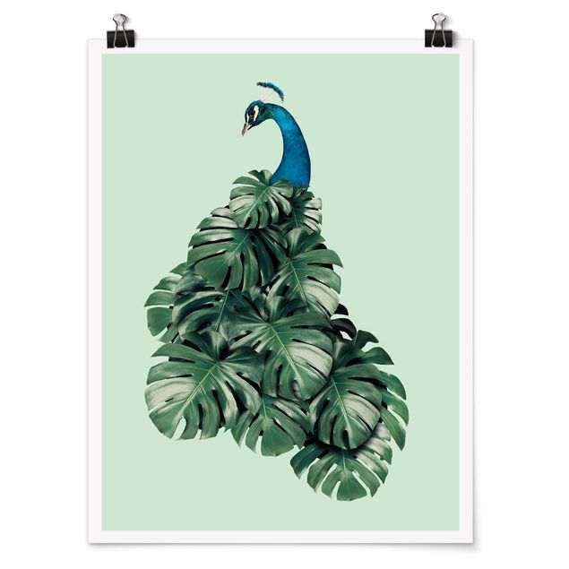 Poster animals - Peacock With Monstera Leaves
