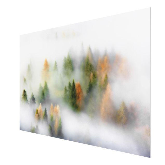 Forex print - Cloud Forest In Autumn