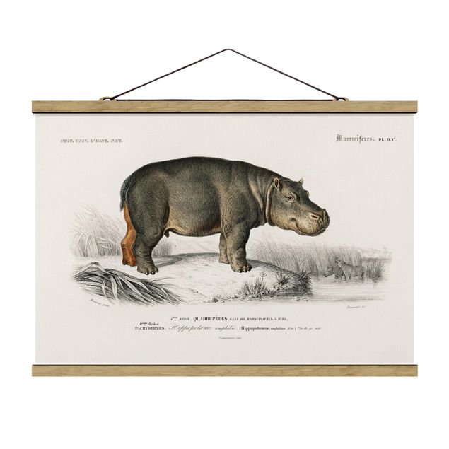 Fabric print with poster hangers - Vintage Board Hippo