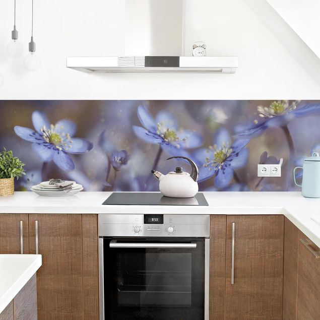 Kitchen wall cladding - Anemone In Blue