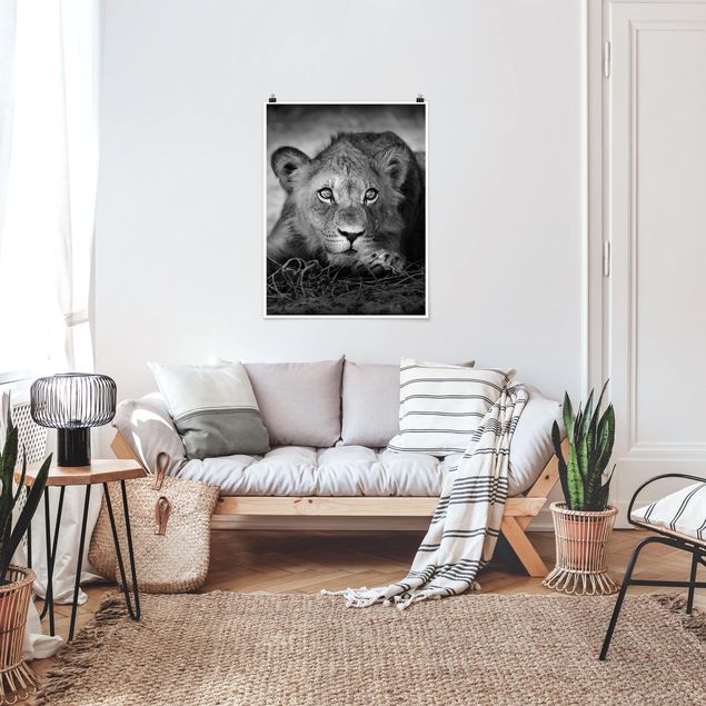 Poster - Lurking Lionbaby