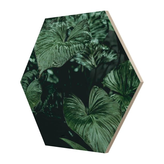 Wooden hexagon - Tropical Plants I