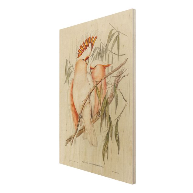 Print on wood - Vintage Illustration Galah
