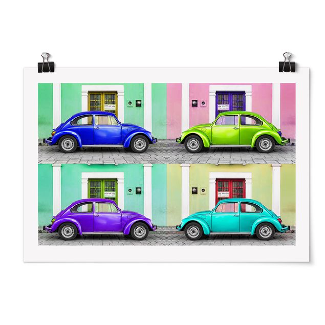 Poster - Coloured Beetles
