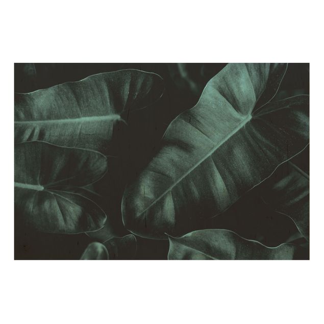 Print on wood - Jungle Leaves Dark Green