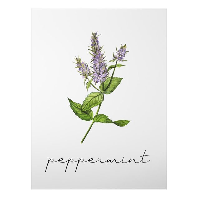Print on aluminium - Herbs Illustration Pepper Mint