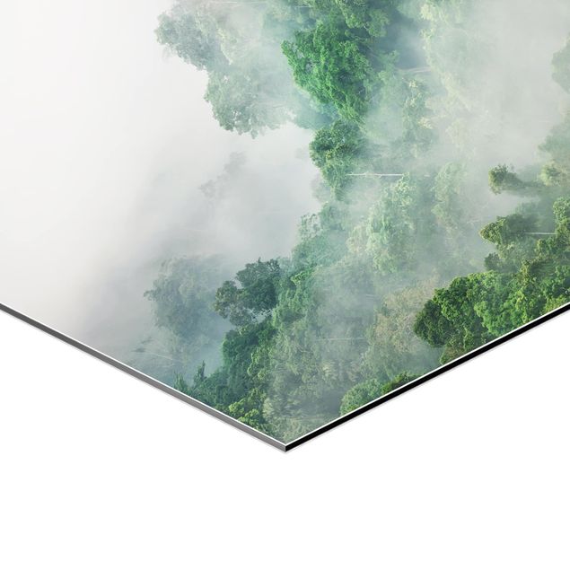Alu-Dibond hexagon - Jungle In The Fog