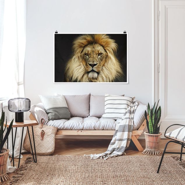 Poster - Wisdom Of Lion