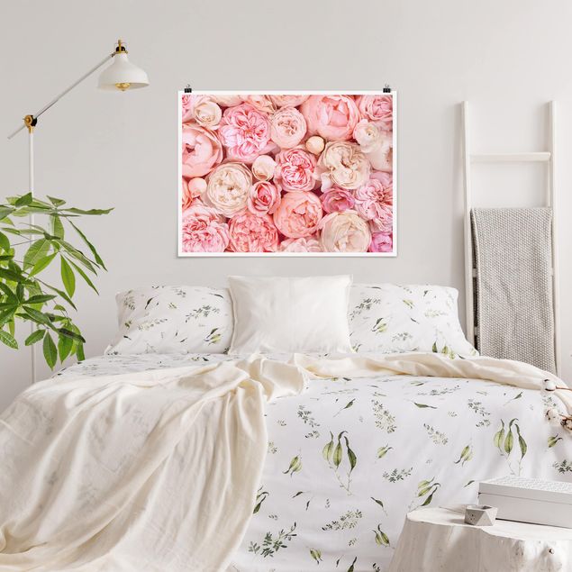 Poster - Roses Rosé Coral Shabby
