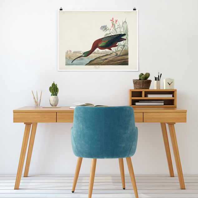 Poster - Vintage Board Brown Ibis