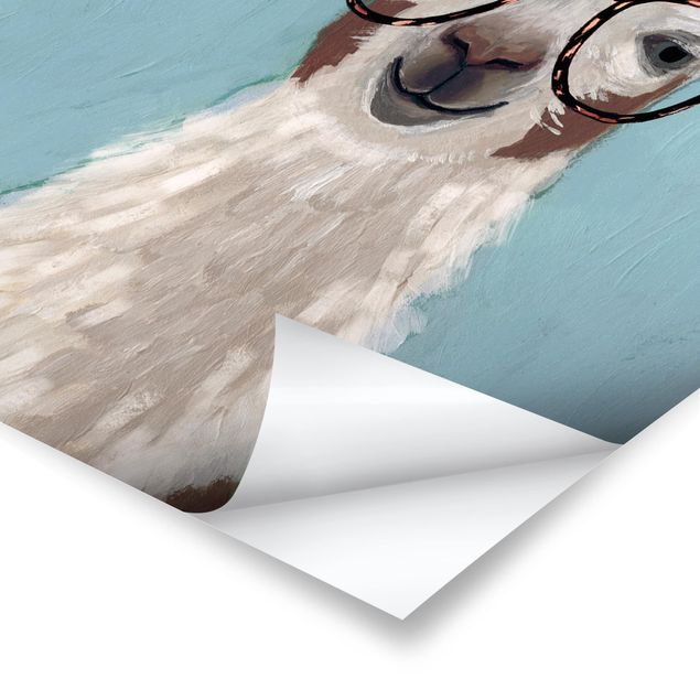 Poster animals - Lama With Glasses II