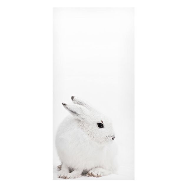 Magnetic memo board - Arctic Hare
