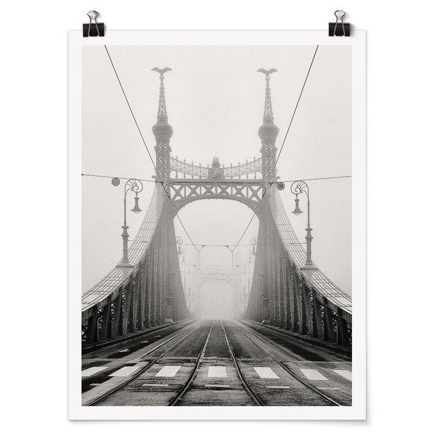 Poster architecture & skyline - Bridge in Budapest