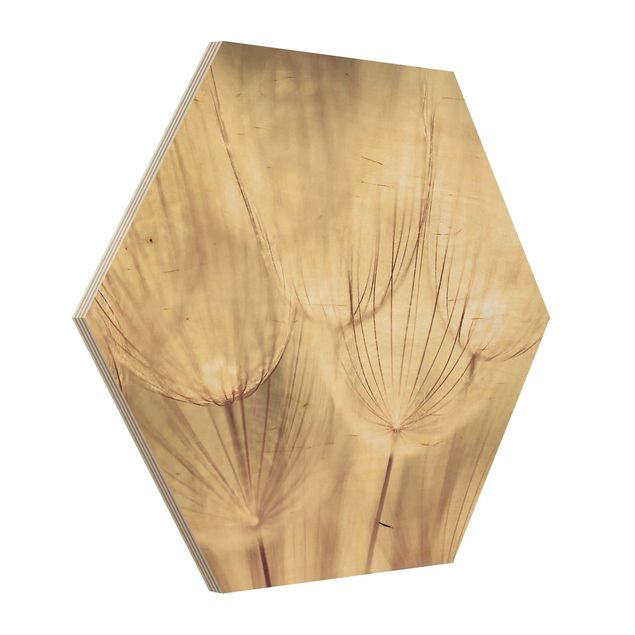 Wooden hexagon - Dandelions Close-Up In Cozy Sepia Tones