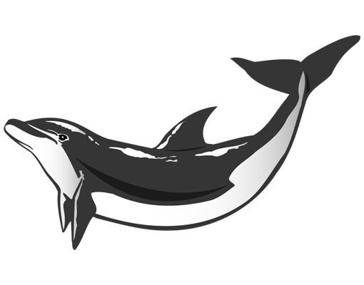 Wall sticker - No.TA49 Dolphin