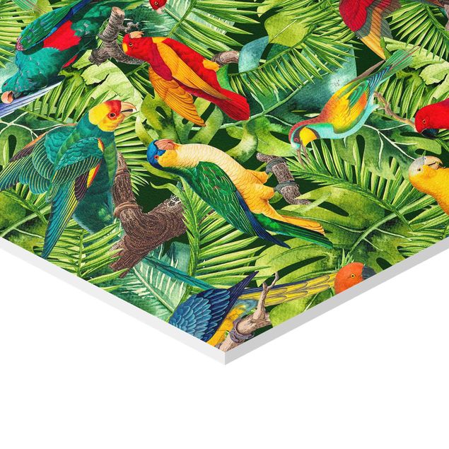 Hexagon Picture Forex - Colorful Collage - Parrot In The Jungle