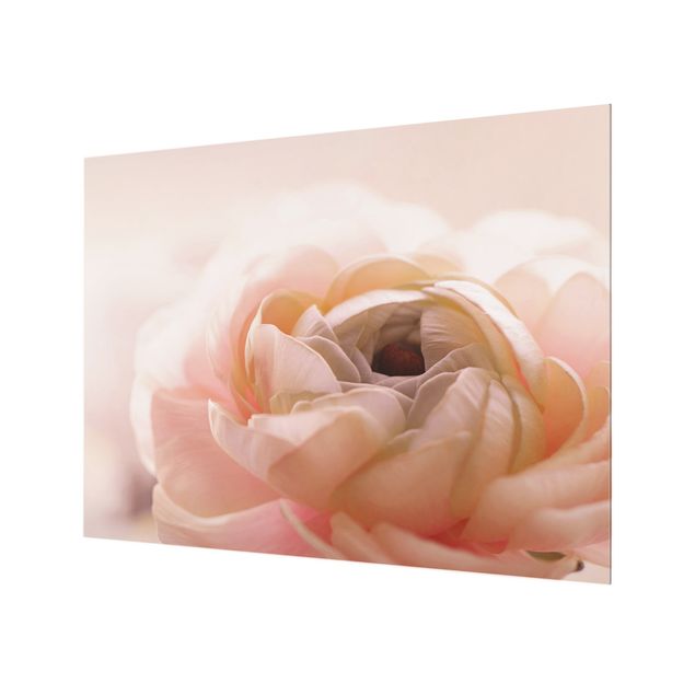 Splashback - Focus On Light Pink Flower - Landscape format 4:3
