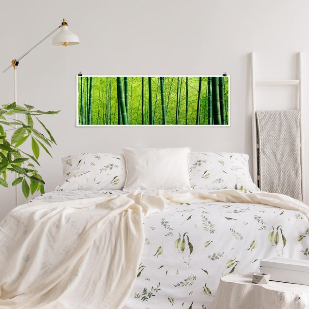 Panoramic poster nature & landscape - Bamboo Forest