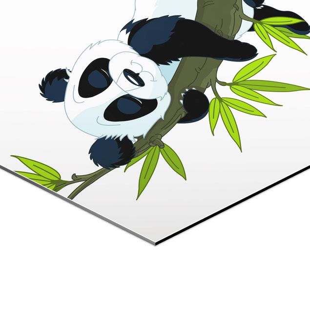 Alu-Dibond hexagon - Sleeping Panda