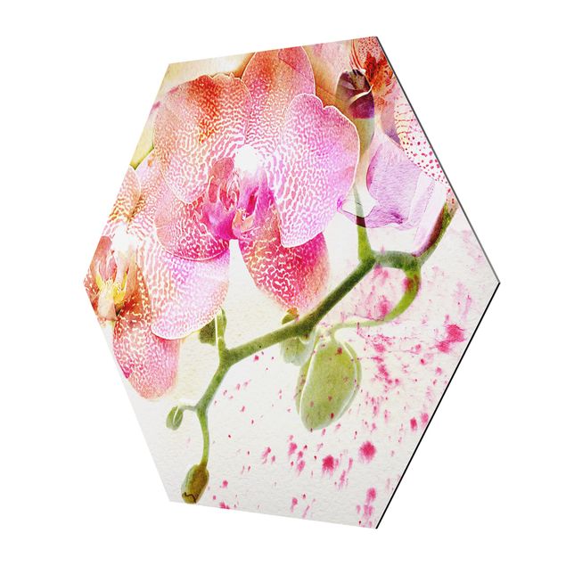 Alu-Dibond hexagon - Watercolour Flowers Orchids