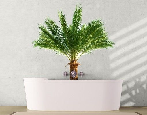 Wall decal forest No.466 Palm IV
